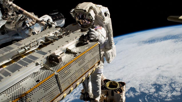 Space Travel Alters Gene Expression, Weakening Our Immune Systems